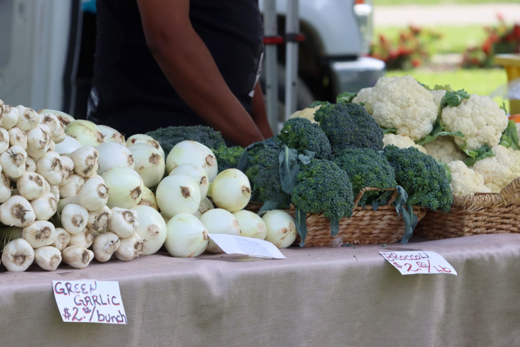 Thursday Night Market Place hosts first certified farmers market